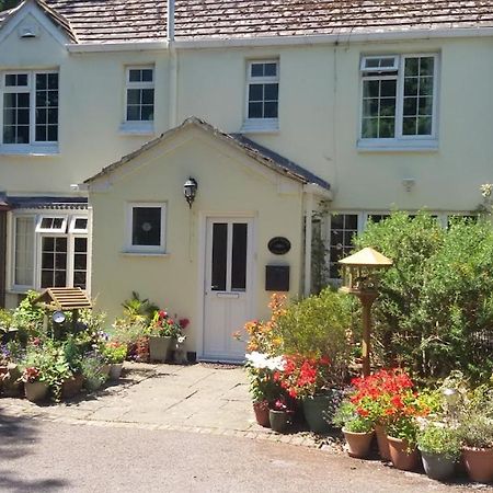 Coach House Cottage Bournemouth Exteriör bild
